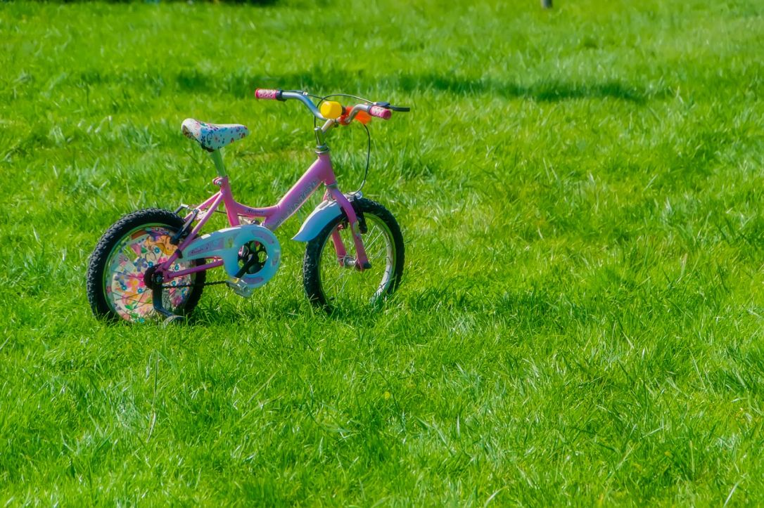 Rowerki dziecięce na trawie